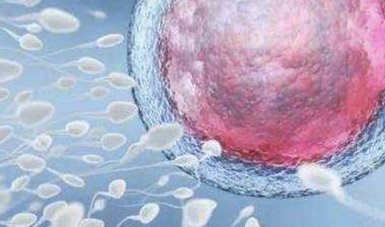 揭秘21号染色体随体柄增长临床意义，山东地区有哪些私立的机构可以做试管技术？